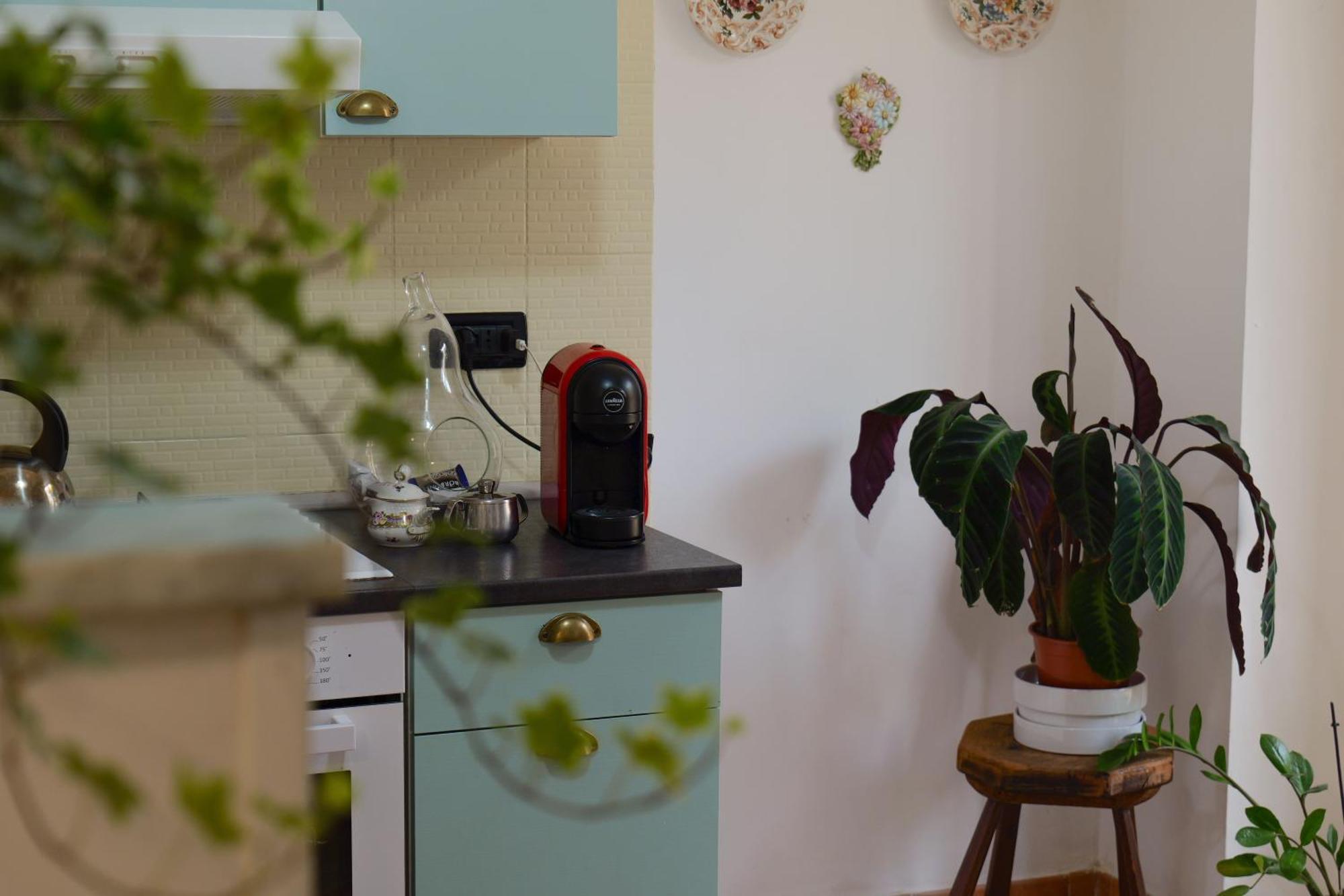 Coli'S House Bed & Breakfast ตูริน ภายนอก รูปภาพ